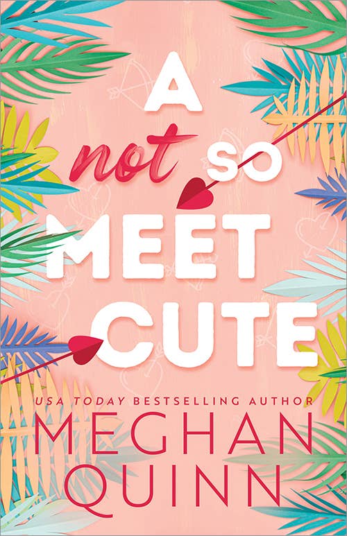 Not So Meet Cute (Cane Brothers #1)