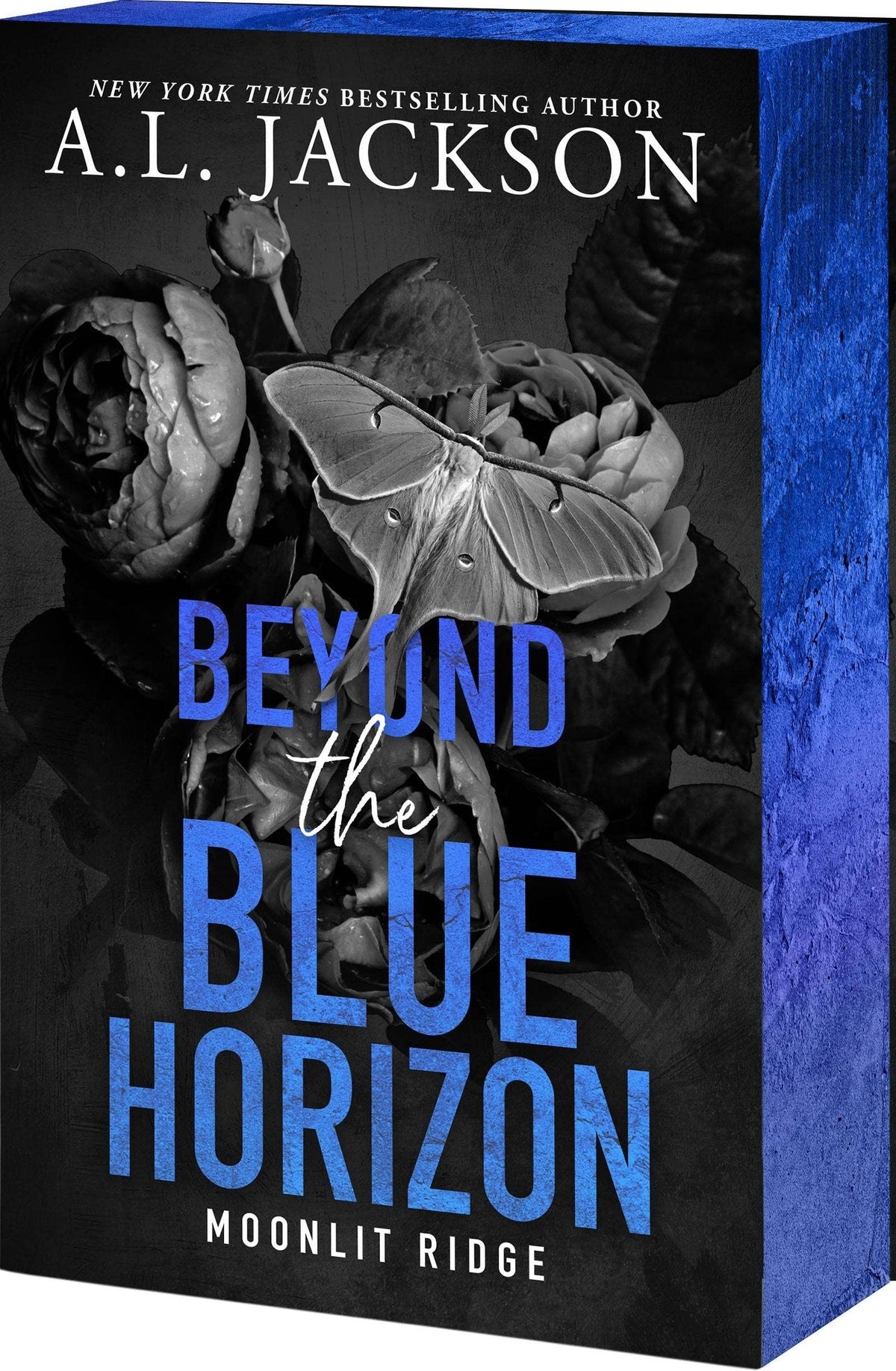 Beyond The Blue Horizon (Moonlit Ridge #4)