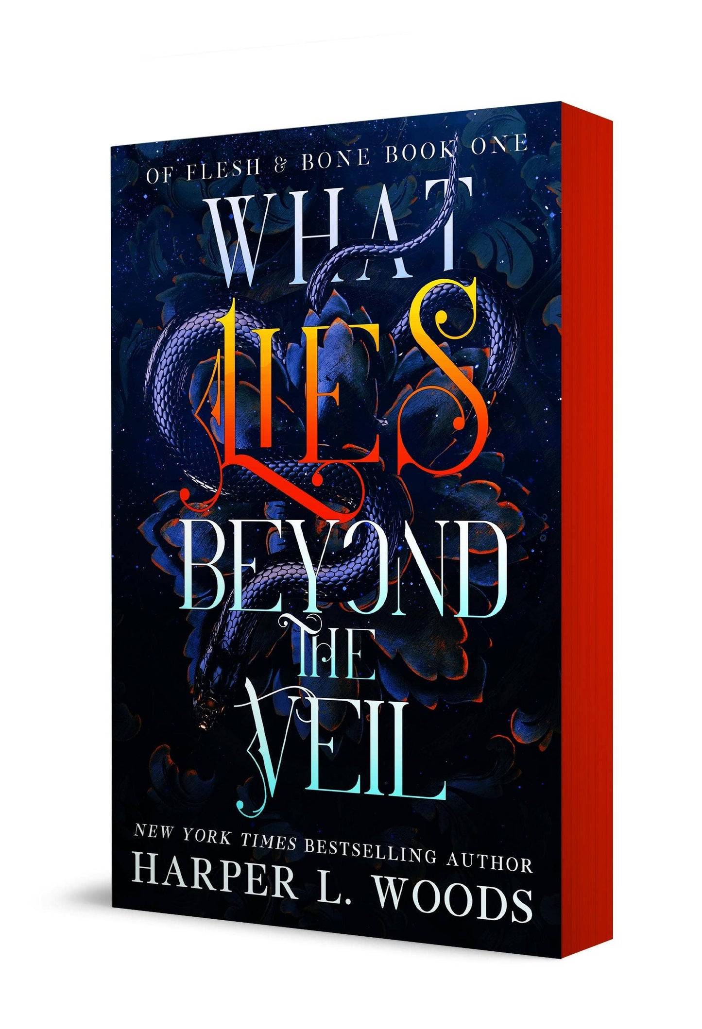 What Lies Beyond The Veil  (Of Flesh & Bone Book 1)