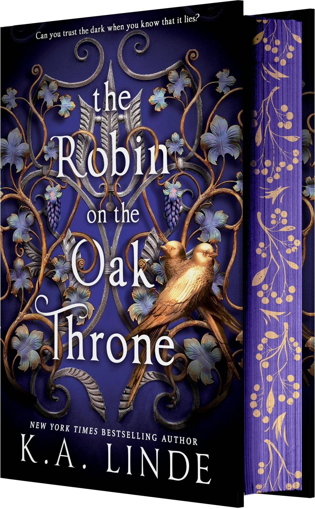 Robin On The Oak Throne (The Oak and Holly Cycle #2)