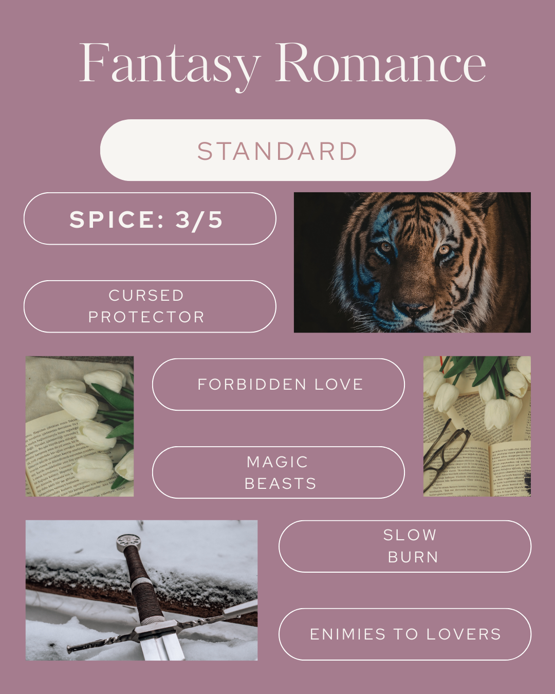 Fantasy Romance